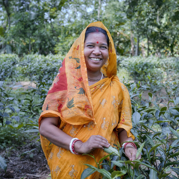 Bangladesh: Papiya works as a tea estate leader. Photo: Fabeha Monir/Oxfam. Oxfam acknowledges the European Union (EU) as the funder of this program.